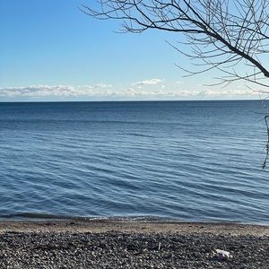 Meet your Posher, Ivy